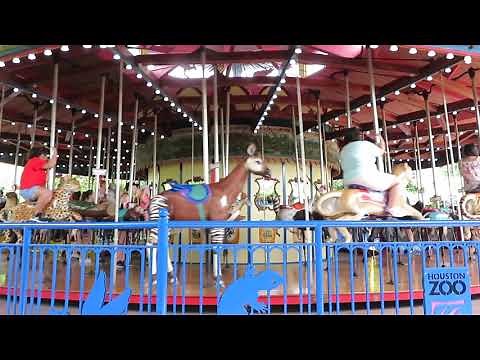 Animal Carousel Ride at the Houston Zoo