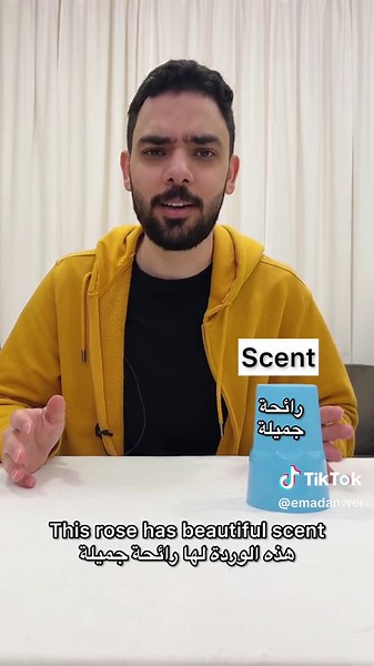 Understanding the Difference Between Sent, Cent, Scent in English