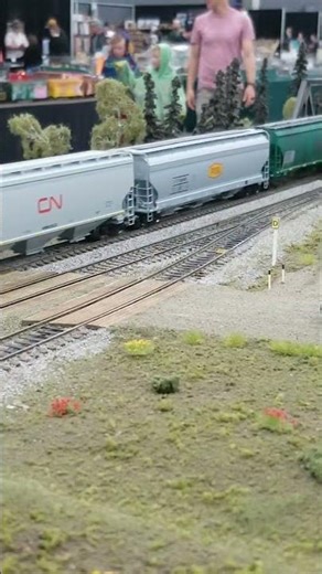 BCRail Grain Train on the Western Free-mo Layout! #train #bcrail #canadianrail #cnrail