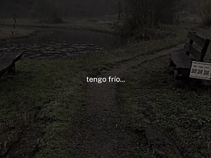 Twenty One Pilots Concert and Flightless Birds Song Lyrics