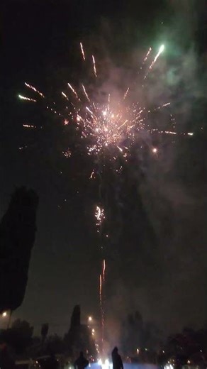 Jose Can You See Firework Cake (36 shots X2) #fireworks #new #shorts #trending #2026 #pyro #demo