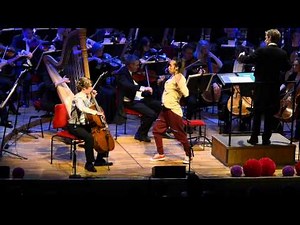 Saint-Saëns Carnival of the Animals: The Swan / Royal Stockholm Philharmonic Orchestra