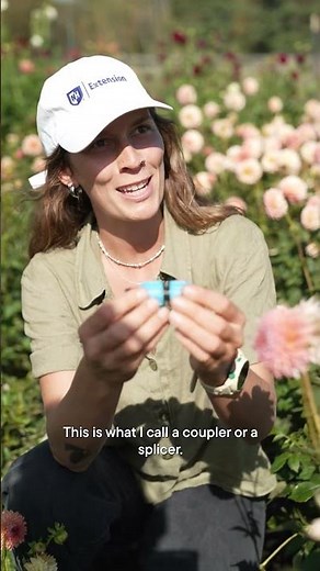 How to Fix a Leak in a Drip Irrigation Line