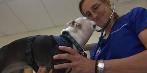 Veterans’ private medical records sent to Tennessee veterinarian