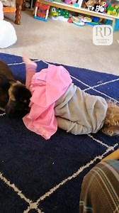 20K views · 101 reactions | This toddler loved playing with her pet rabbit! #pets #toddlers #rabbit | Reader's Digest | Facebook