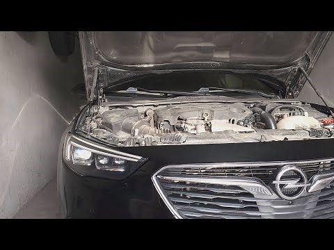 Opel Insignia B B20DTH - Maintenance service intervals (2.0 CDTI 170hp 400Nm)
