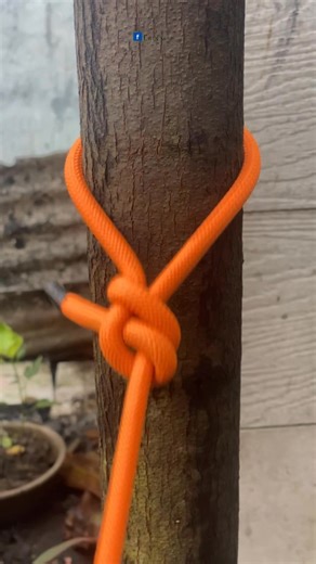 1.4K views · 237 reactions | best knot practice good idea #diy #outdoors #climbing #viral #fblifestyle #tutorial | Egi Knot | Facebook