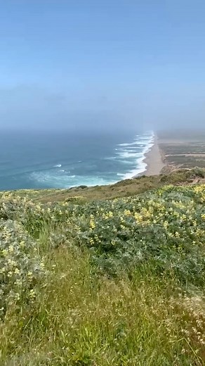Beautiful hike in Point Reyes, California! ⛰️ | Robyn Adele Anderson