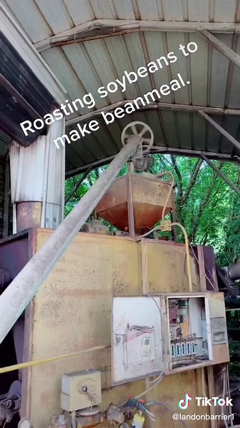 Roasting Soybeans for Oil: A Farmer's Process