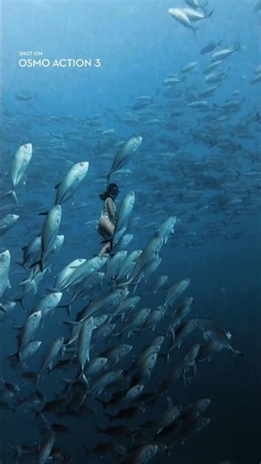 How to color grade your footage #underwater #osmoaction