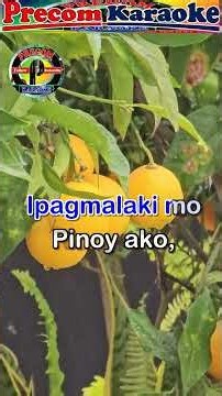 Pinoy Ako, Karaoke version #precomkaraoke