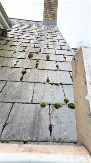 Roof cleaning and chemical treatment to stop moss & algae