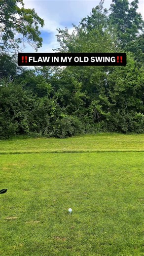 6K views · 59 reactions | FLAW IN MY OLD SWING READ WHAT IS WRONG AND...