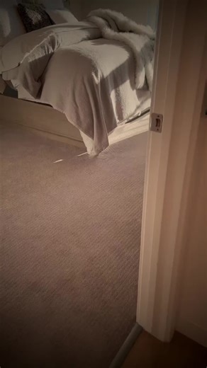 Science confirms: Cats use trial-and-error learning to escape puzzle boxes Thorndike's Law of Effect: successful behaviors are strengthened through accidental success and repetition CatCog | @cat.cognition #catcog #catfacts #catsoftiktok #catintelligence #smartcats