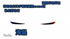 flos meme （重置版的重置版）