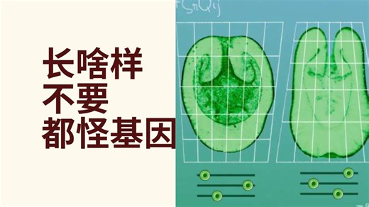 动物体态多样性背后的物理法则