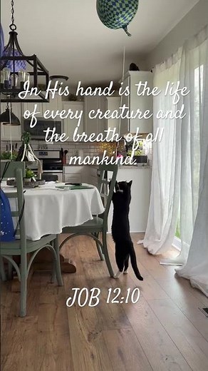 Life is His🤲READ ON❎HERE! Job 12#shorts,​⁠ #christianshorts,‪@SingingSandsScripture‬