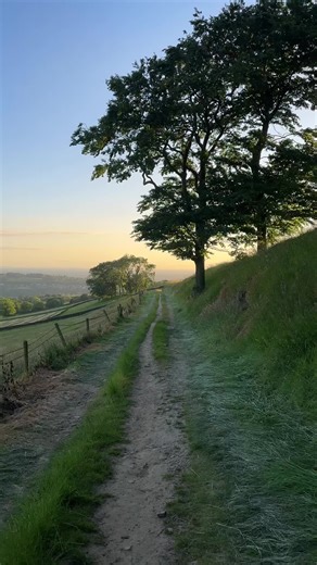 🐑🌾 #englishcountryside #peakdistrict | english countryside