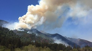 Burning Olympic Rainforest Poses Firefighting Challenge