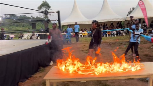 does that say sperm wars