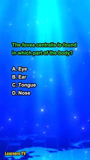 The fovea centralis is found in which part of the body? #learnerstv #sciencequiz #education | Learners TV