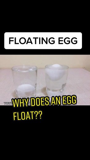 Egg Float in Salt Water Experiment