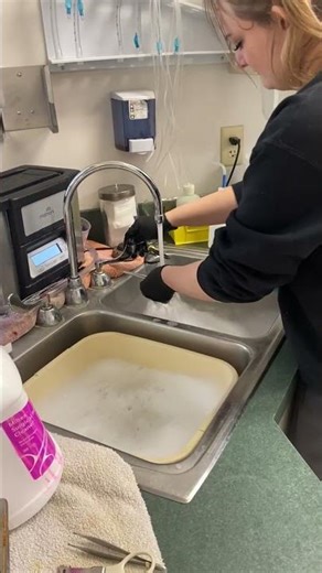 Clean Surgical Instruments post operatively