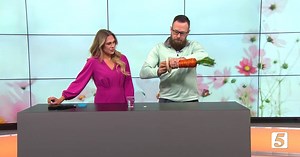 Spring Science Experiments