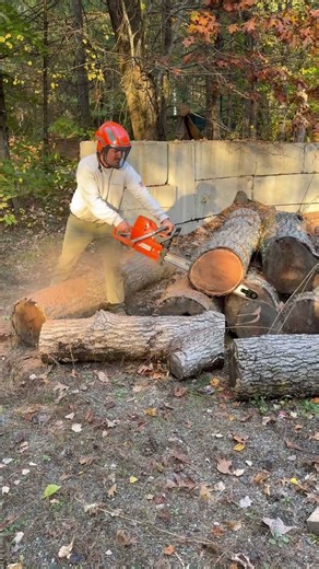 395xp! square grind chain right of the grinder! check out @ACSaws got a really good collection!