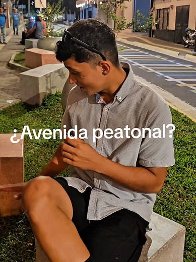 Opiniones sobre la Avenida Peatonal de Wappler