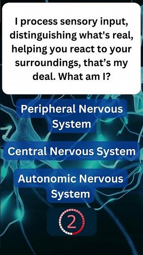 Your Nervous System, So Much To Know! ⚡ #BrainPower 39
