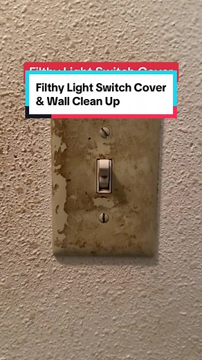 Super Satisfying Clean with Dawn Professional Degreaser & Zep Foam Wall Cleaner