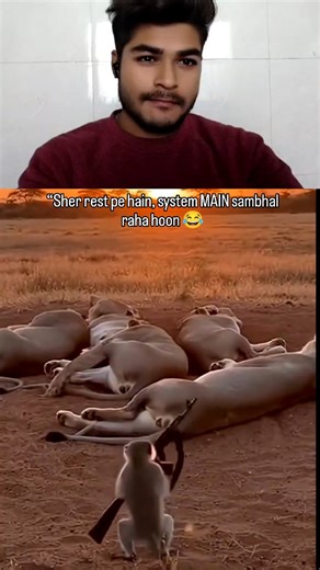 👁️⃤ | “Sheron ki nindiya, aur unka bodyguard MAIN 🐒🦁” . . . . . .Monkeys' pranks, lions' nightmares, animals on instagram.... . . #AnimalWorld... | Instagram