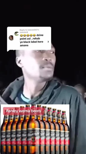 Inside the Matrix Rehabilitation Camp Experience