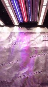 Maximize Your Harvest w/2025 Mars Hydro ADlite! | Mars Hydro LED