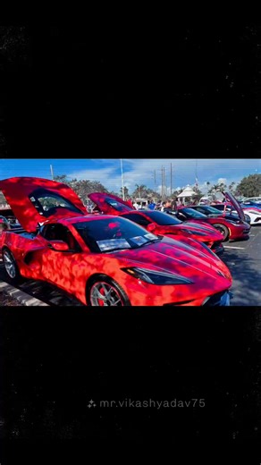 Veteran Car Show in Punta Gorda #henry888 | Henry Rivera | Facebook