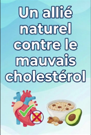 Moringa : Un Super Aliment contre le Mauvais Cholestérol