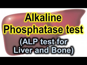 Alkaline phosphatase test | ALP test for liver and bones | ALP test