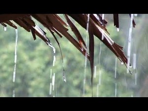 RELAKSASI SERULING SUNDA KICAU BURUNG DAN HUJAN PETIR