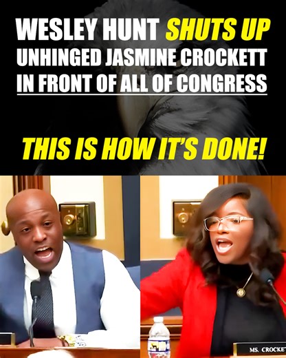 426K views · 20K reactions | MAGA Wesley Hunt SHUTS UP Jasmine Crockett, goes on epic rant humiliating her in congress | PolitiBrawl | Facebook