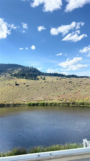 Yellowstone: 7 Must-See Attractions for Your National Park Trip
