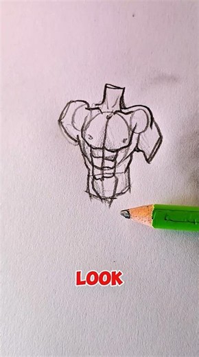 How to Draw the Human Torso (Basic Anatomy) #foryou #drawing #art #shorts #howtodraw #easydrawing