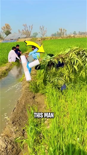 Talking Fun (@talking_fun)’s videos with original sound - Talking Fun