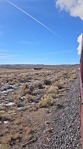 7.5K views · 218 reactions | Turn up the volume for the sweet sounds...