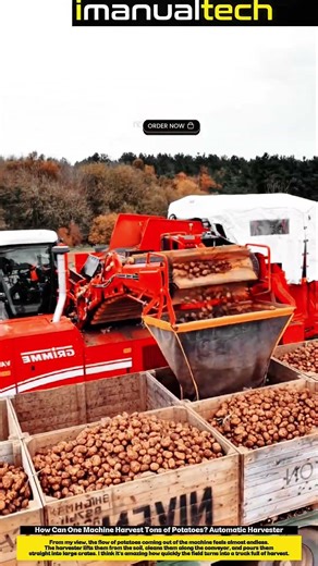 How Can One Machine Harvest Tons of Potatoes? Automatic Harvester