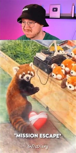 Funny Gym Prank With Old Man Mask 😂 | Unexpected Reaction in#shorts 🚀📌🚀 USA#funny#shortsfeed #prank