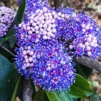 Anjani Ecological Solutions | LinkedIn