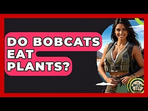 Do Bobcats Eat Plants? - The Wild Life Explorer