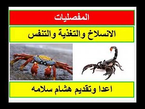 الانسلاخ في المفصليات والجهاز الدوري
