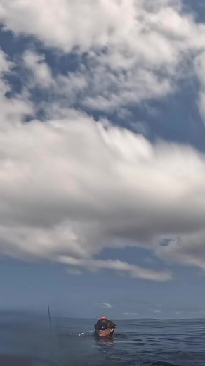 Head over to youtube and watch the full video!!